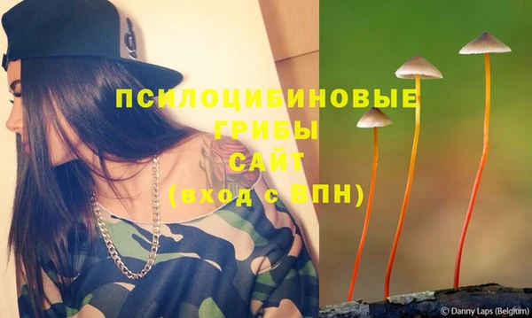 альфа пвп Беломорск
