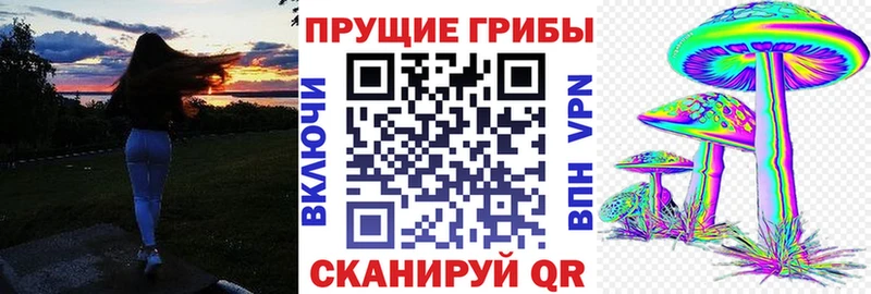 Галлюциногенные грибы Psilocybine cubensis  Щигры 
